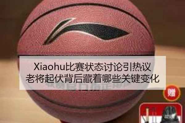 Xiaohu比赛状态讨论引热议 老将起伏背后藏着哪些关键变化（kaiyun）